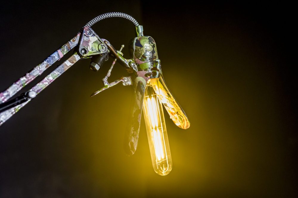 ГИНЕКОЛОГ 1